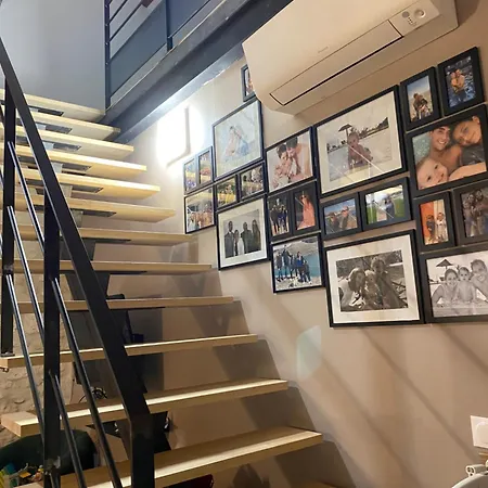 فيلة Centre مونبيلييه